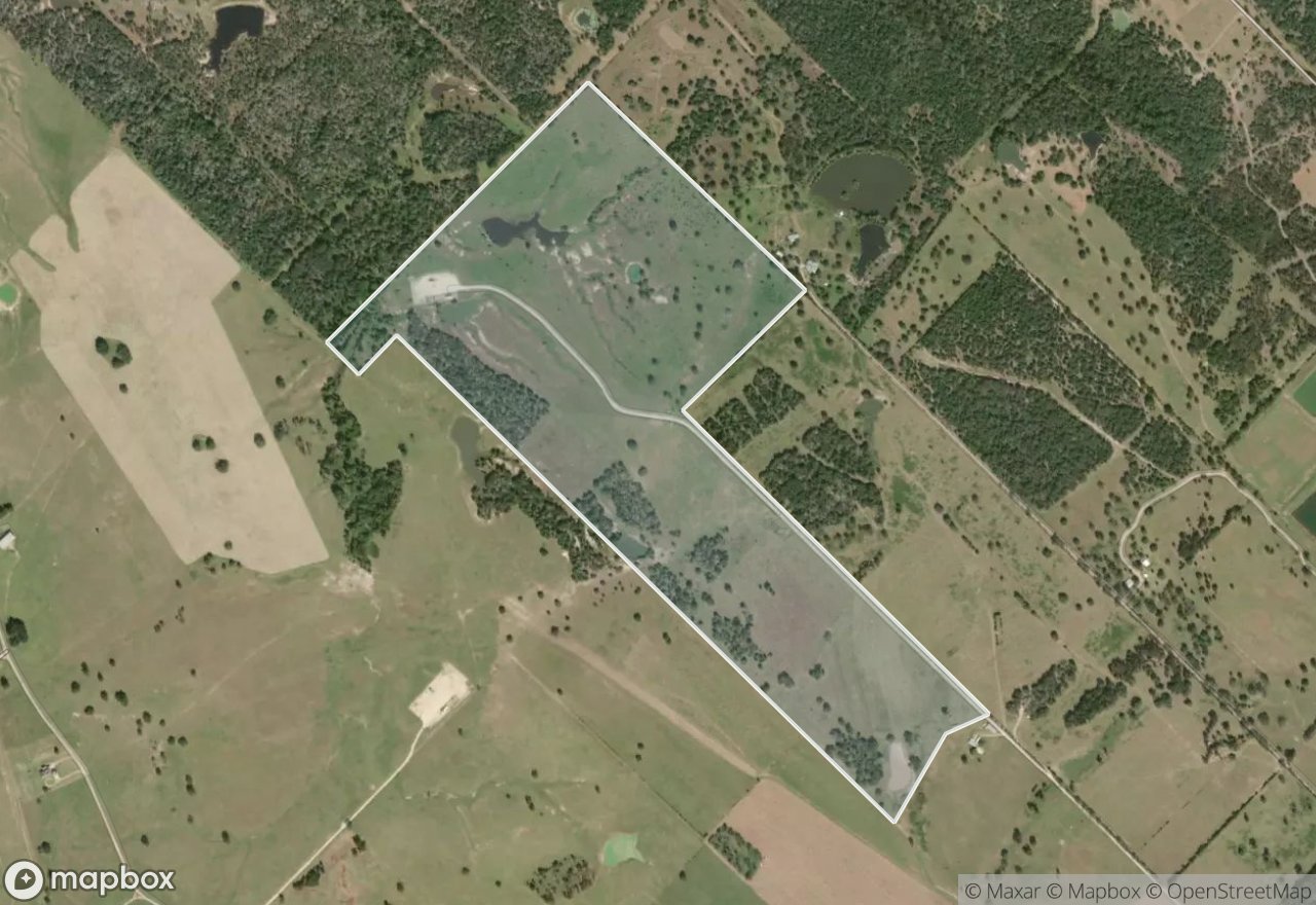 Satellite map of Carmine West