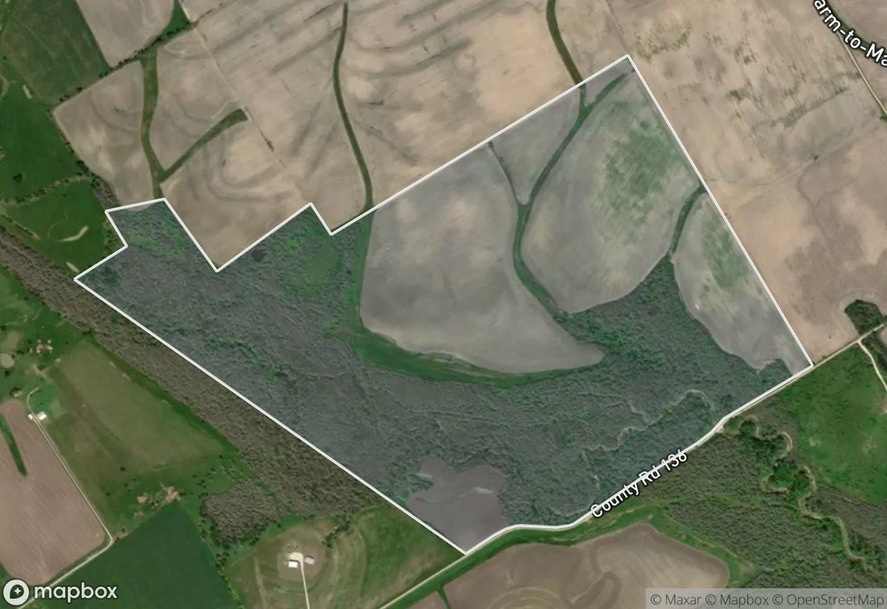 Satellite map of Little Pond Creek