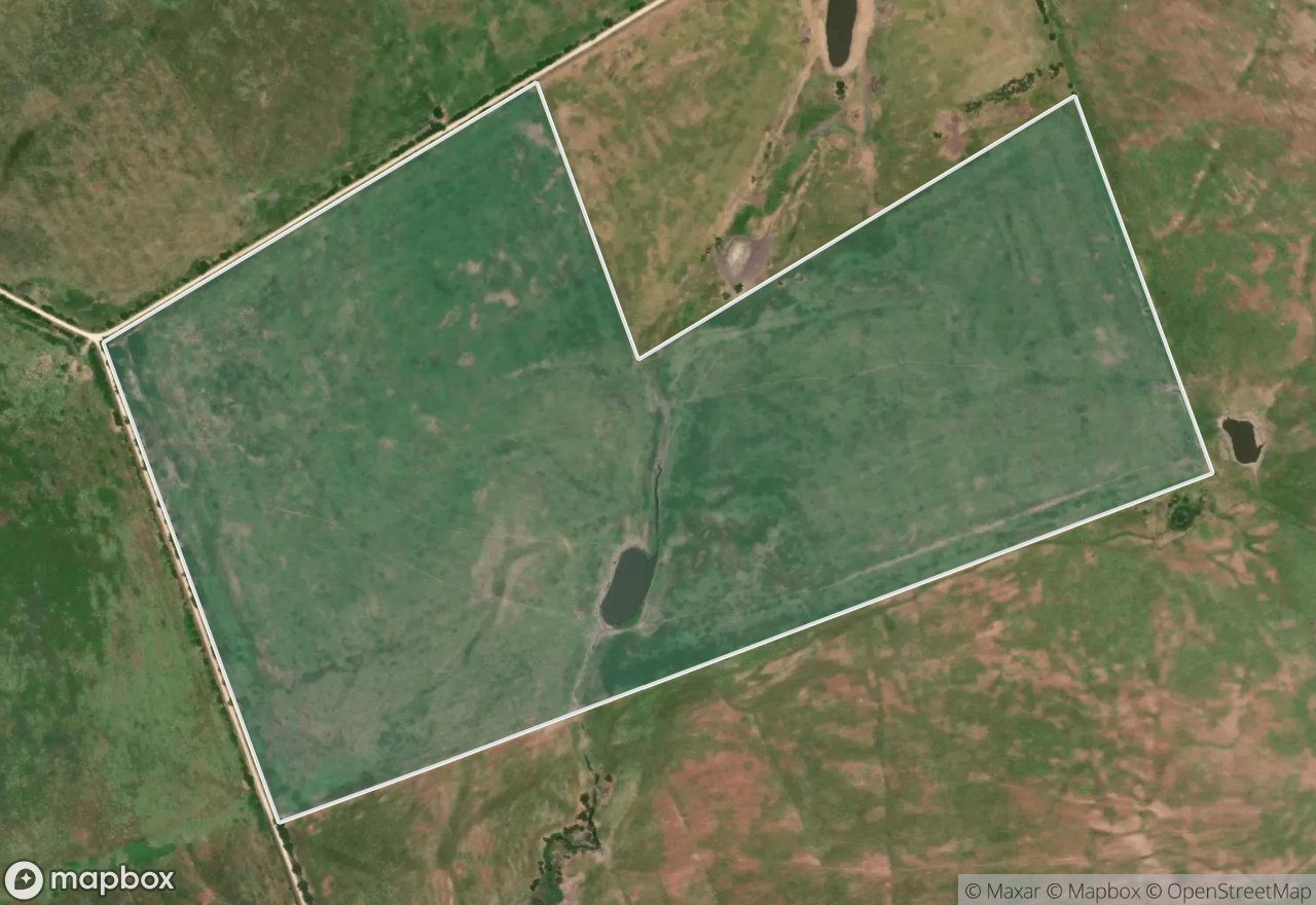 Satellite map of CR 229
