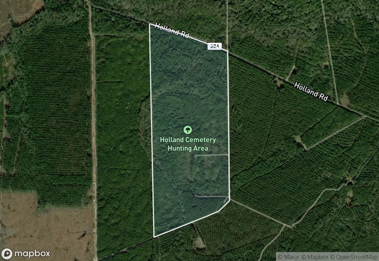 Satellite map of Holland Cemetery
