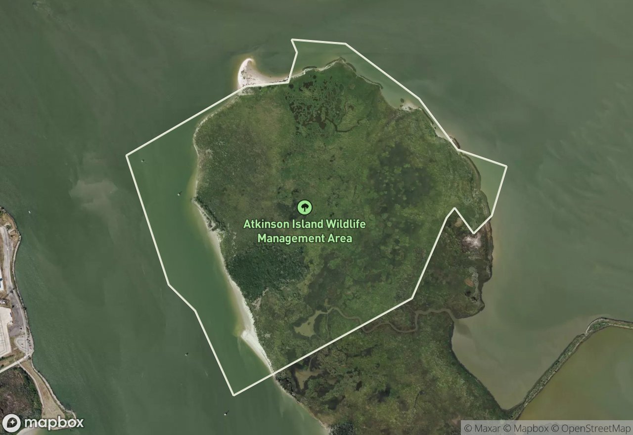 Satellite map of Atkinson Island WMA