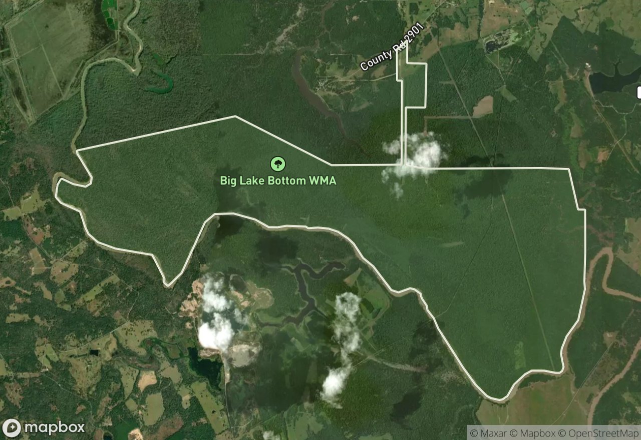 Satellite map of Big Lake Bottom WMA