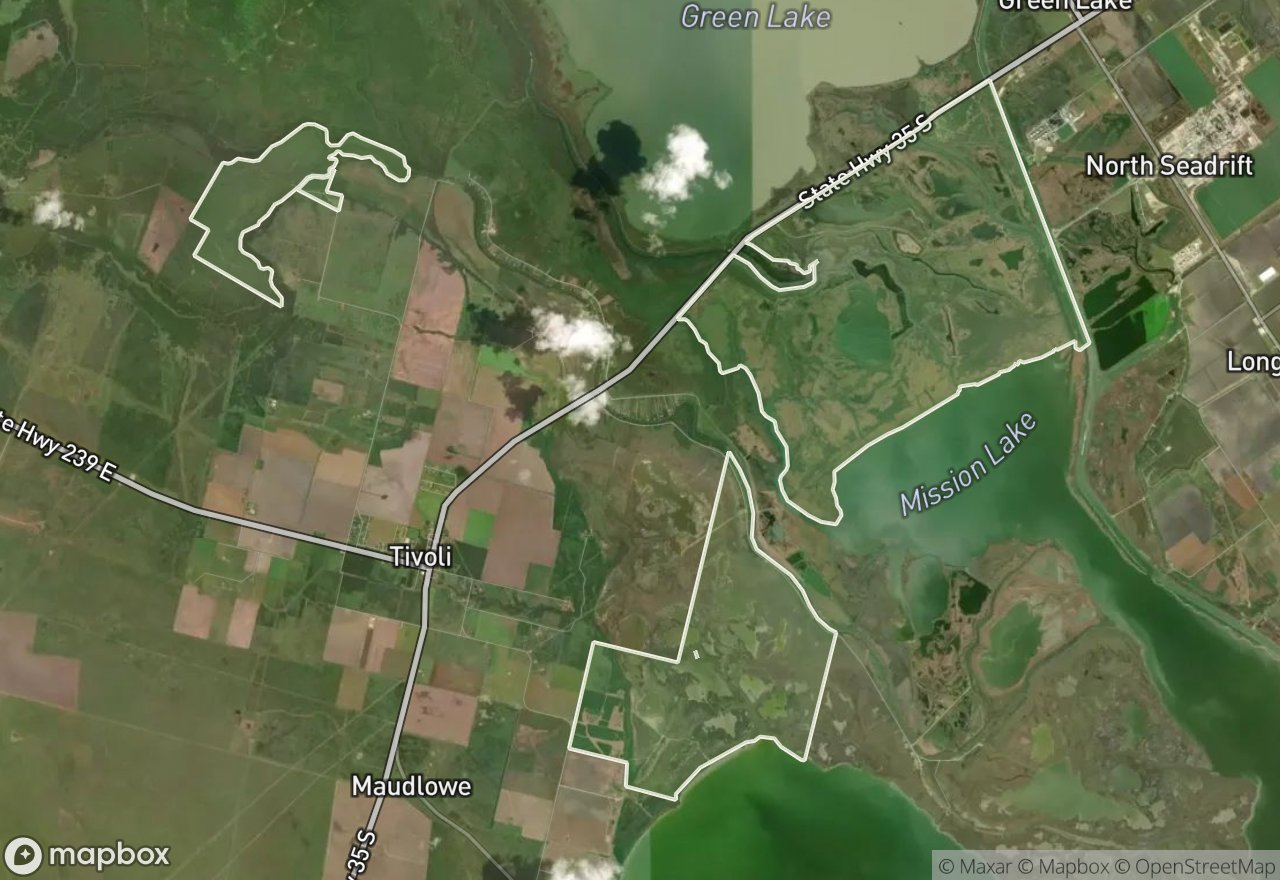 Satellite map of Guadalupe Delta WMA