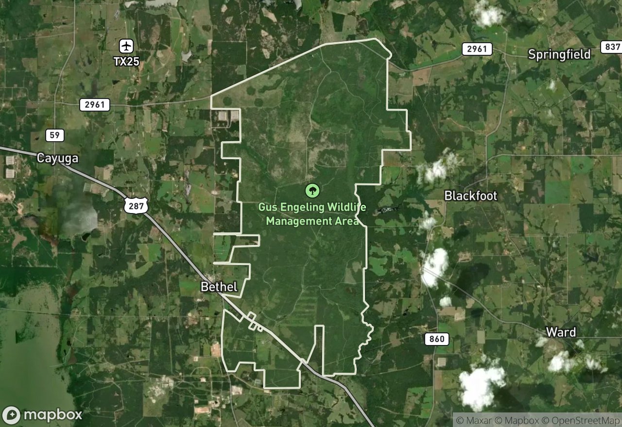 Satellite map of Gus Engeling WMA