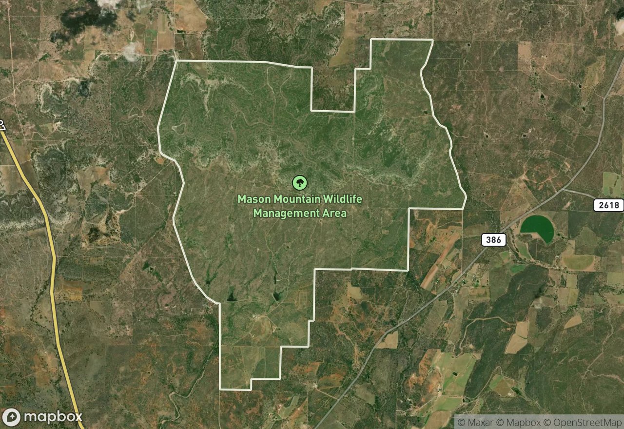 Satellite map of Mason Mountain WMA