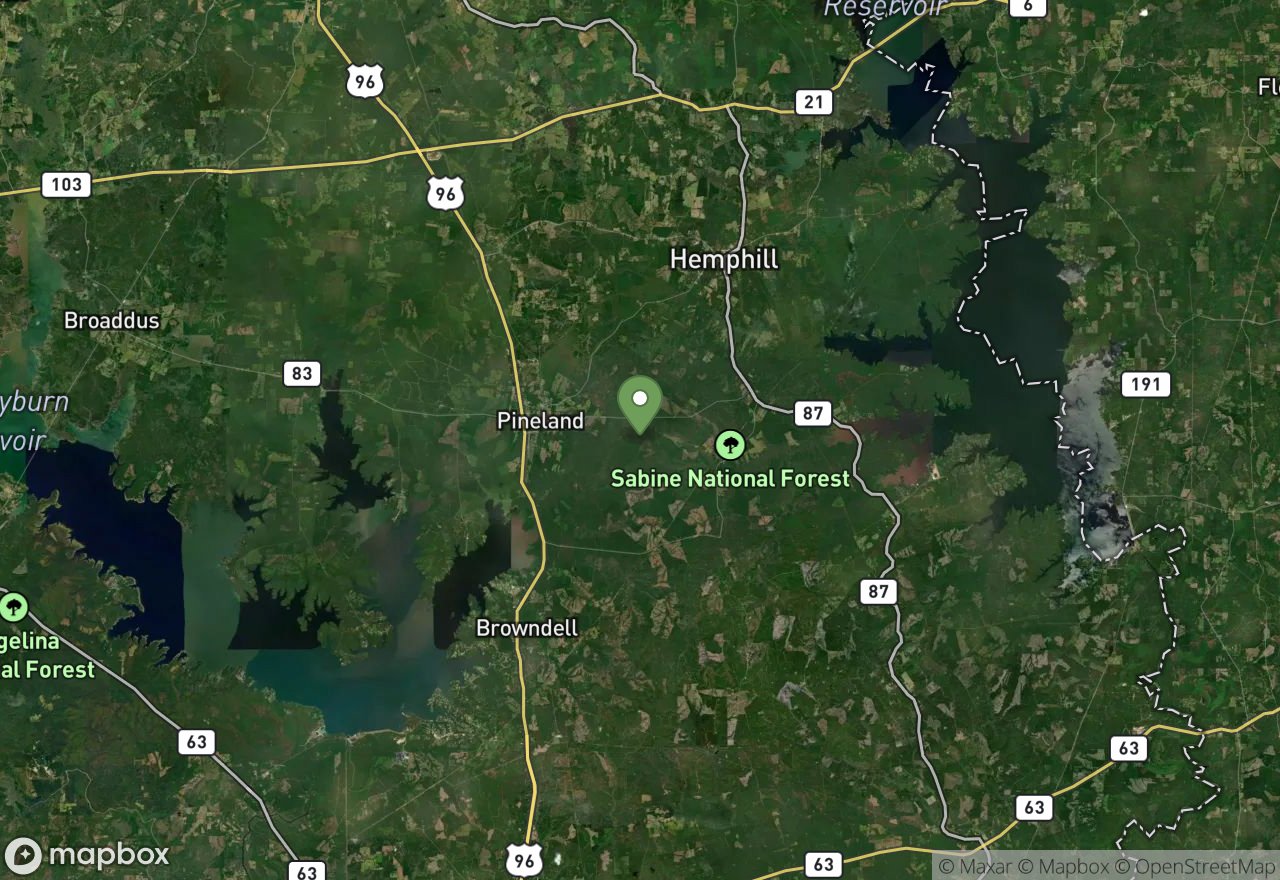 Satellite map of Moore Plantation WMA