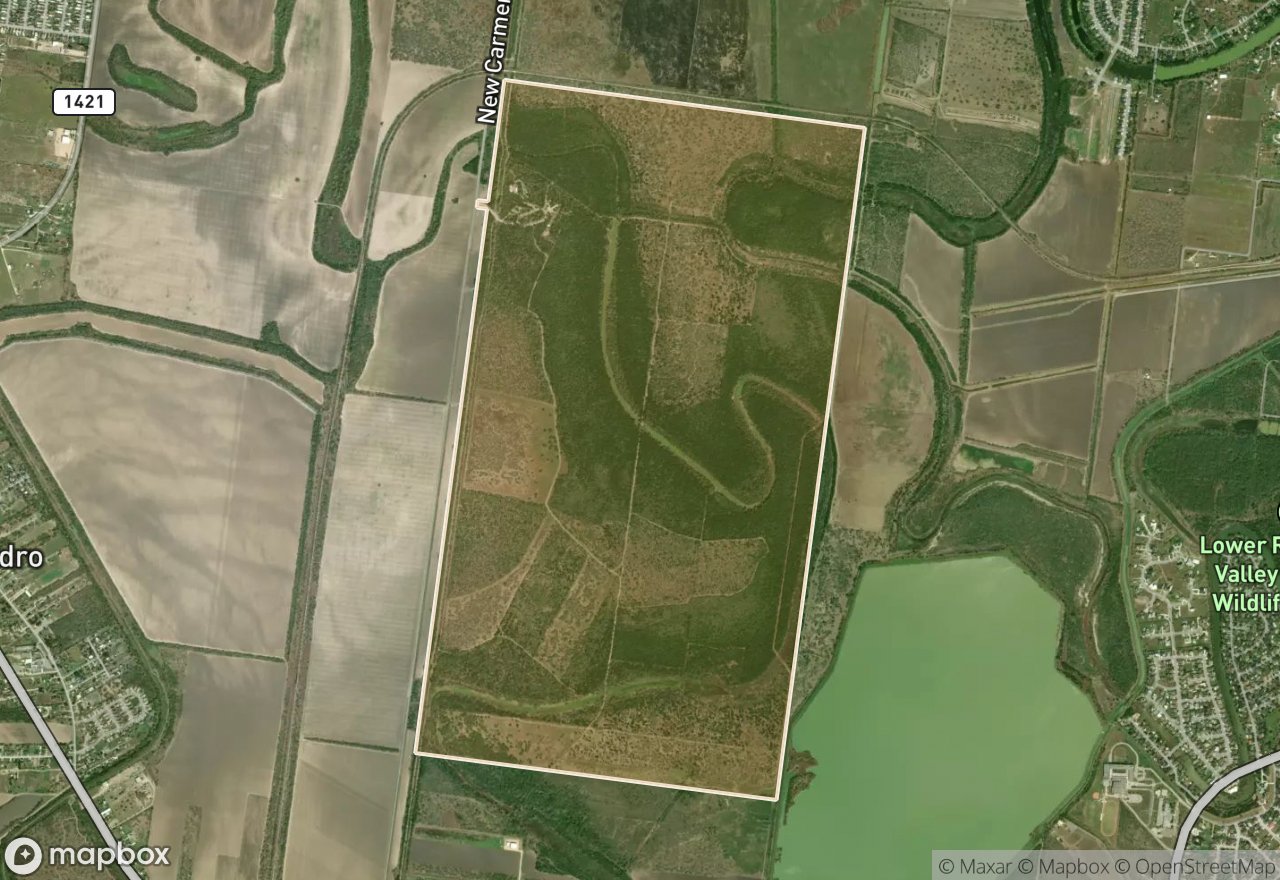 Satellite map of Resaca de la Palma SP