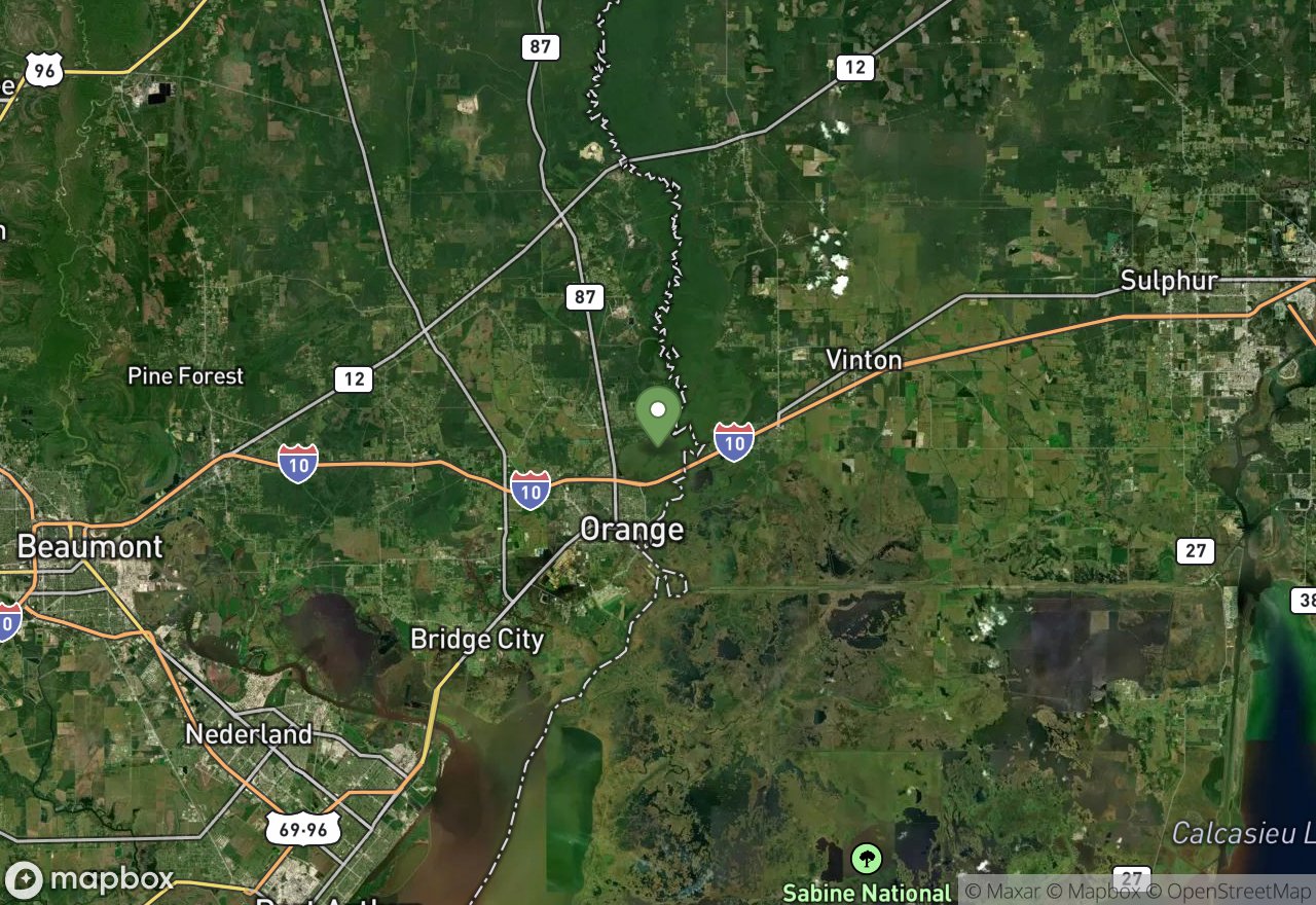 Satellite map of Tony Houseman/Blue Elbow Swamp WMA