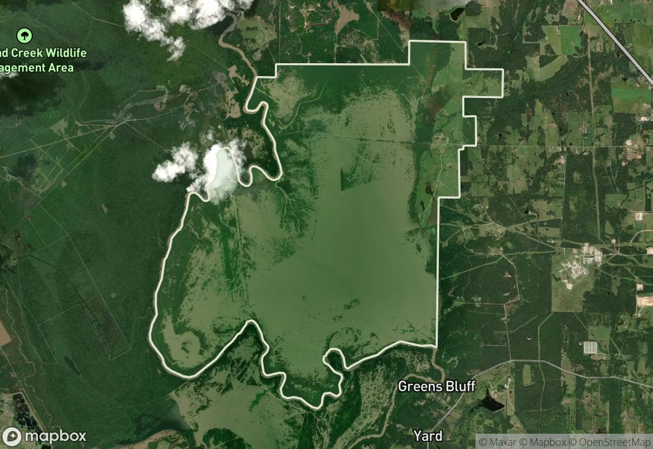 Satellite map of Trinity River WMA