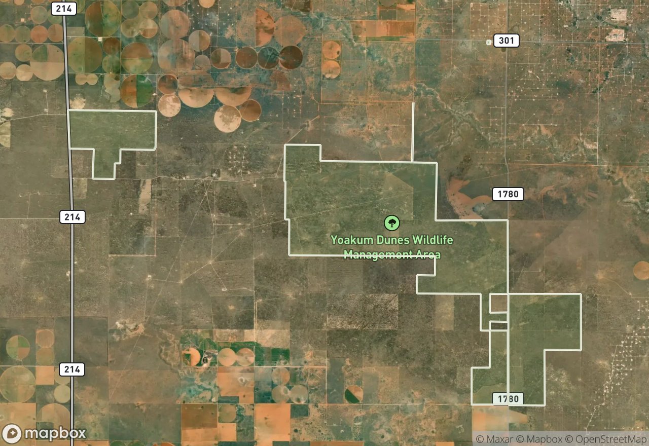 Satellite map of Yoakum Dunes WMA